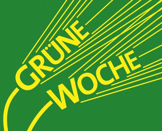 Logo IGW