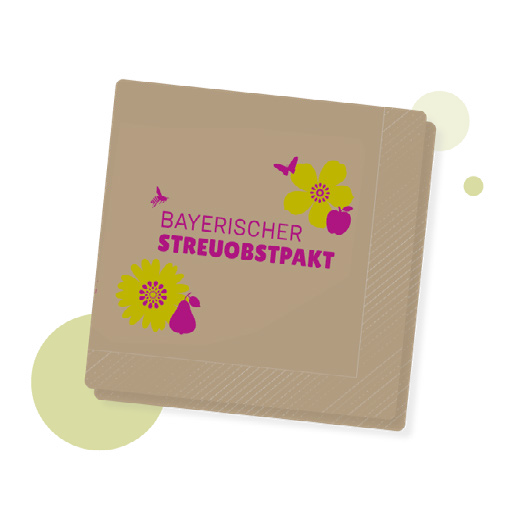 Servietten, 100 Stück
